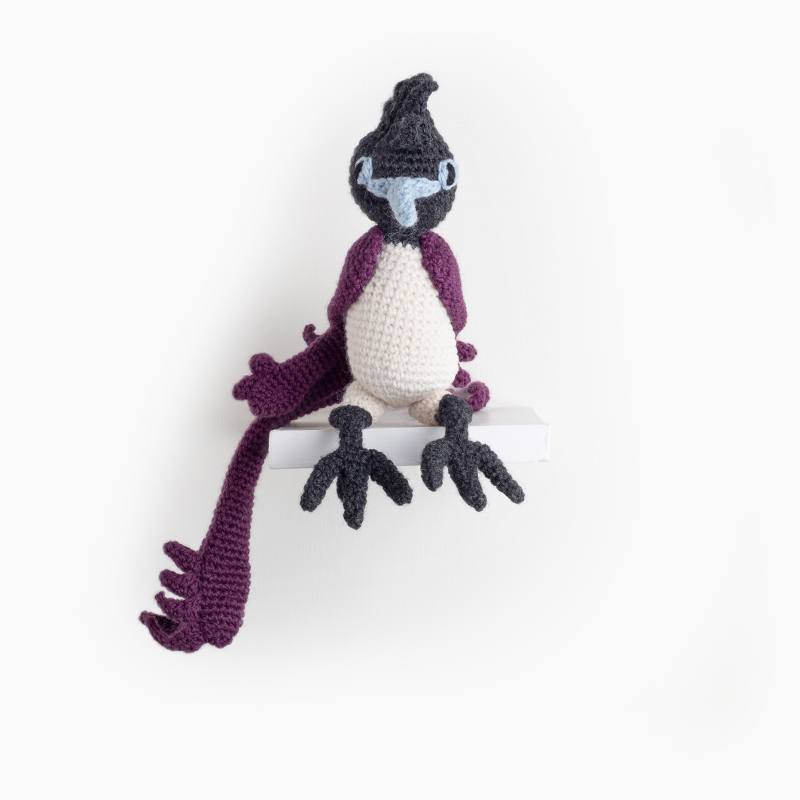 Yuto the Japanese Paradise Flycatcher